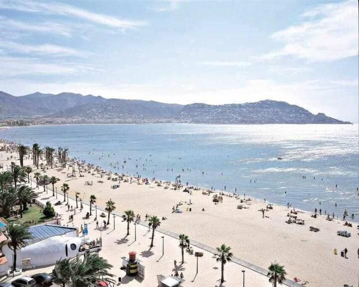 Una vista aérea de una playa con palmeras y montañas al fondo.