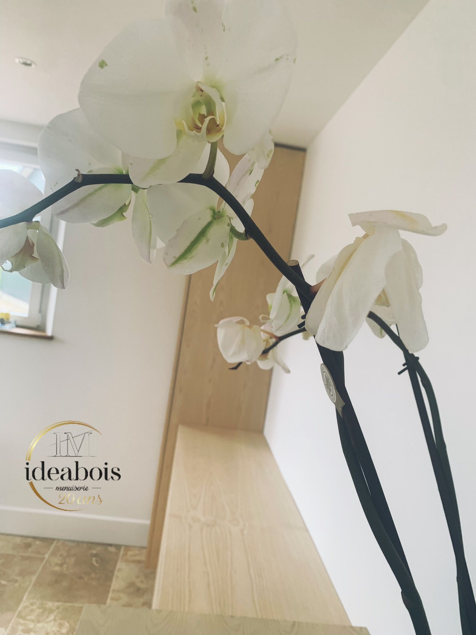 ideabois menuiserie menuiserie rioz