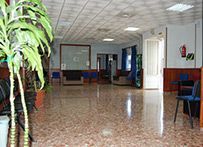 Un gran pasillo con una planta en el medio.