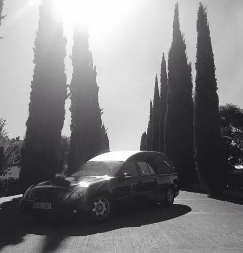 Una foto en blanco y negro de un coche aparcado delante de unos árboles.