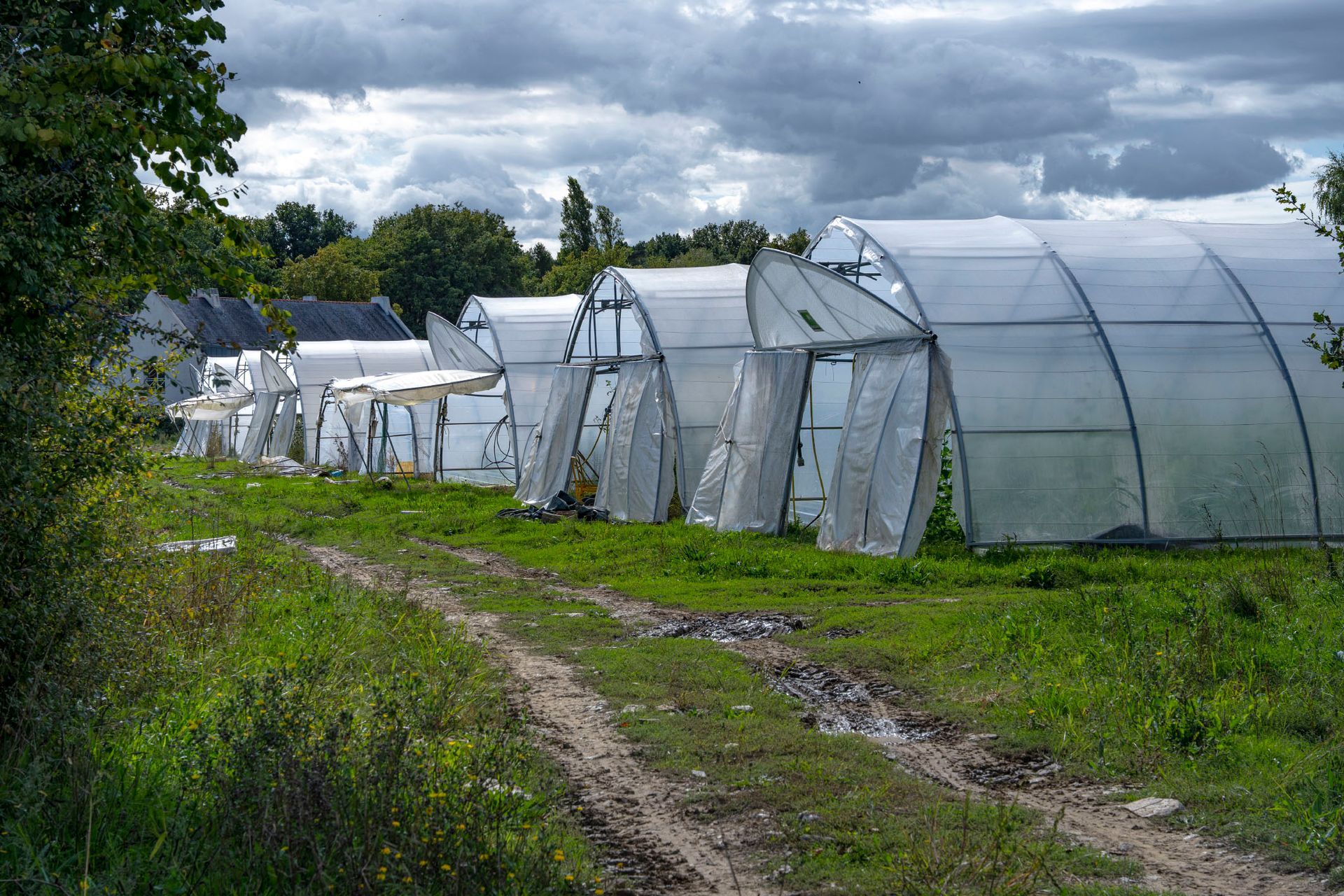 Des légumes biologiques, une bouteille et un panneau indiquant BIO dans un décor de jardin.