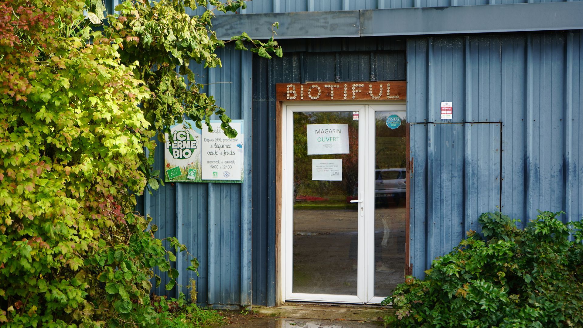 Caisse en bois débordant de légumes frais et colorés.