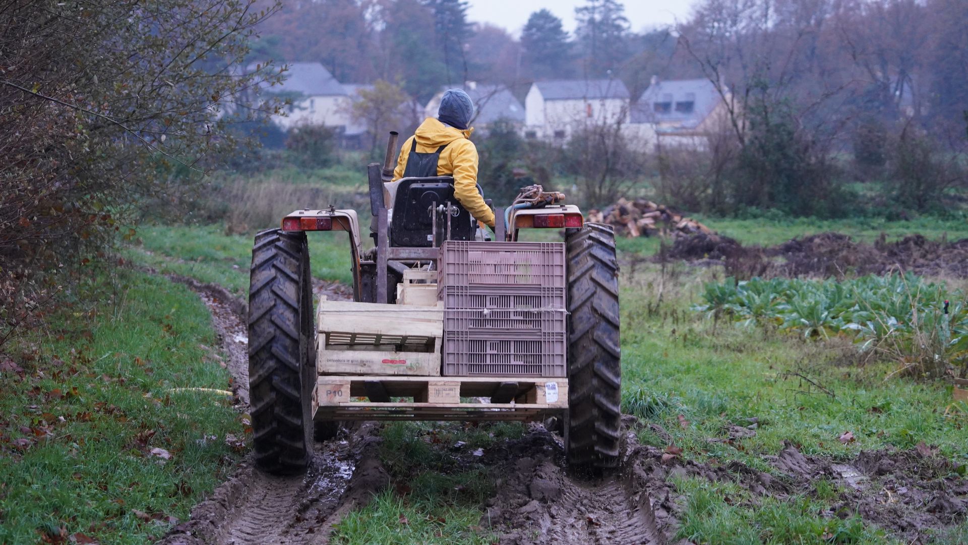 Un agriculteur passe une caisse en bois de légumes frais à une personne à l'extérieur.