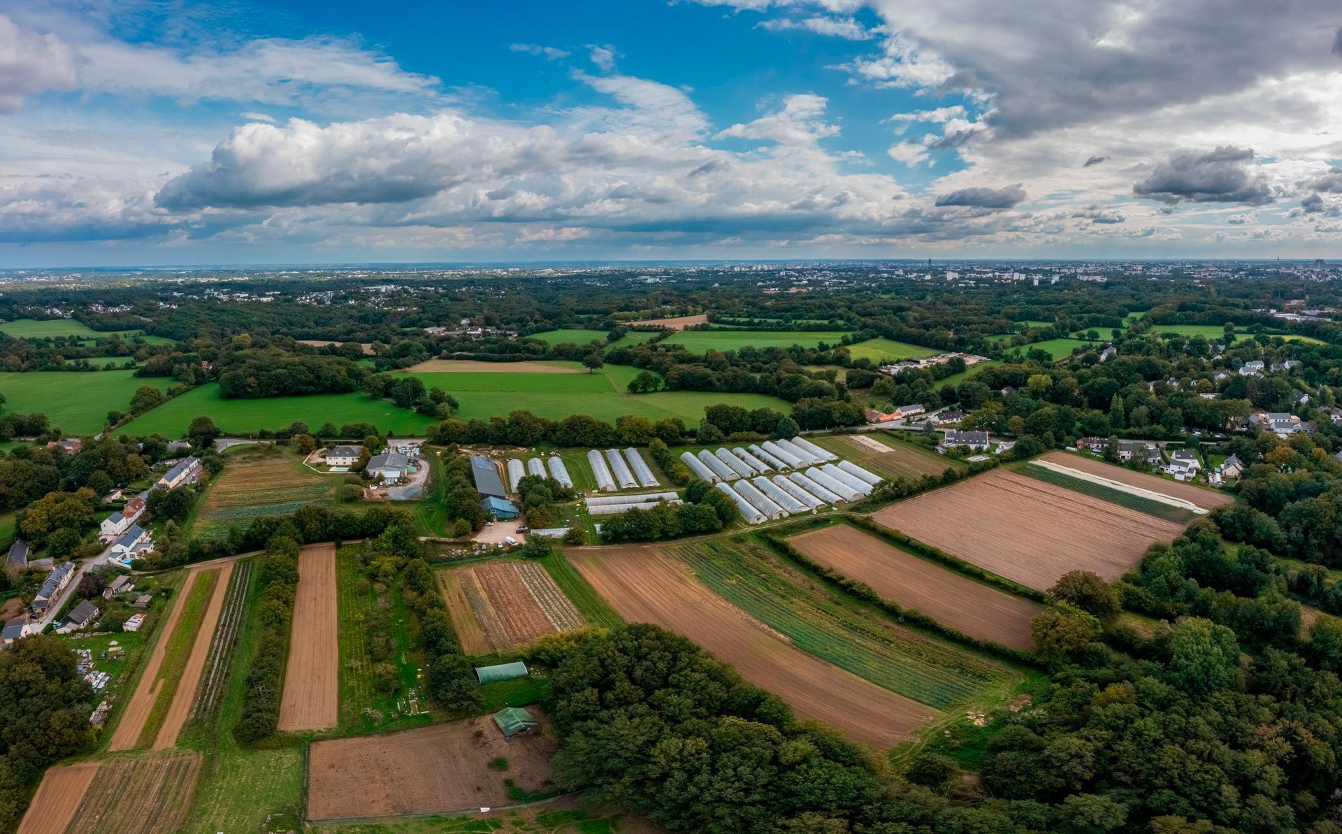 Caisse en bois remplie de légumes colorés, entourée de plantes vertes, dans un décor de jardin.
