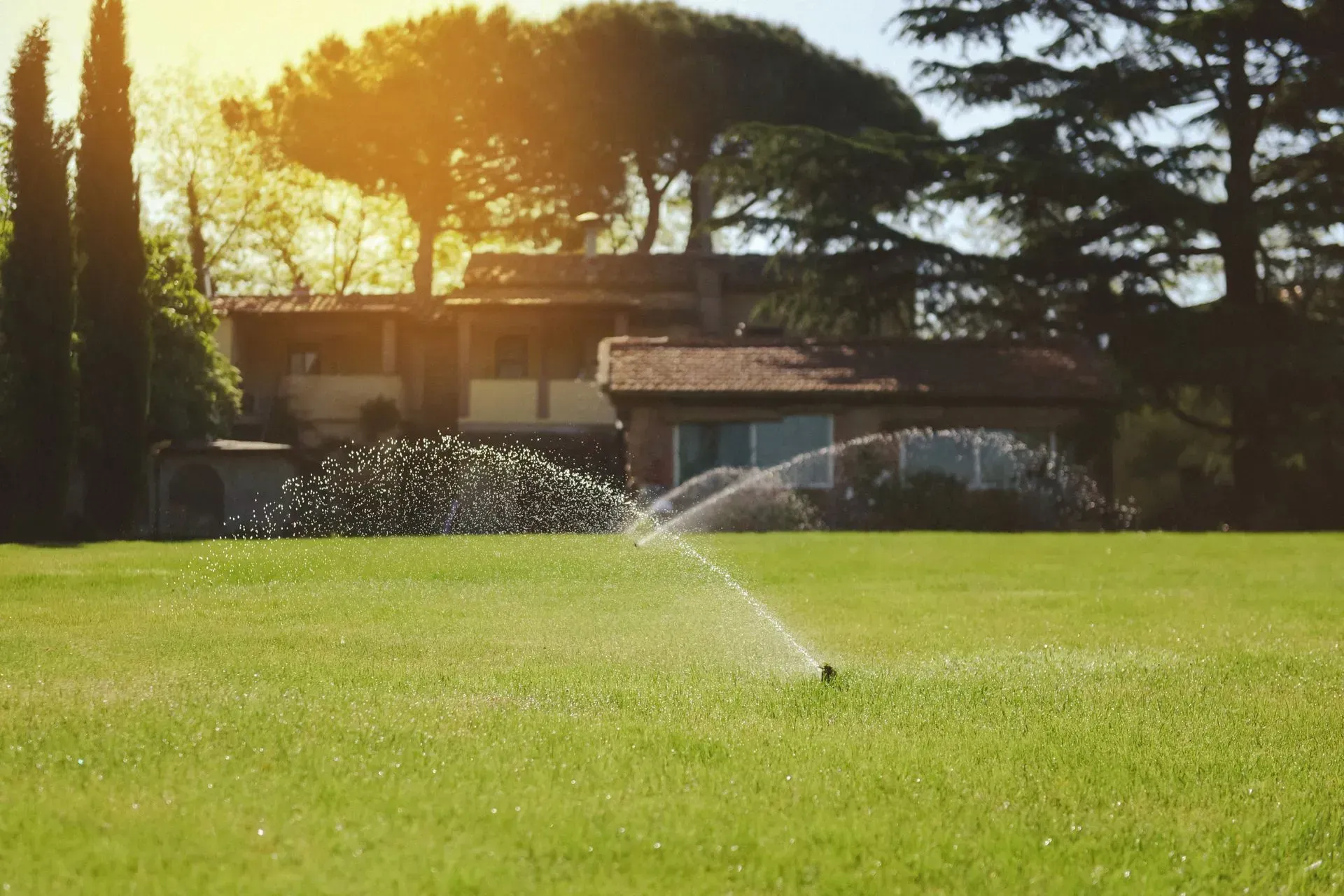 Rasensprenger sprüht Wasser auf einen grünen Rasen vor einem Haus mit Bäumen und Sonnenlicht.