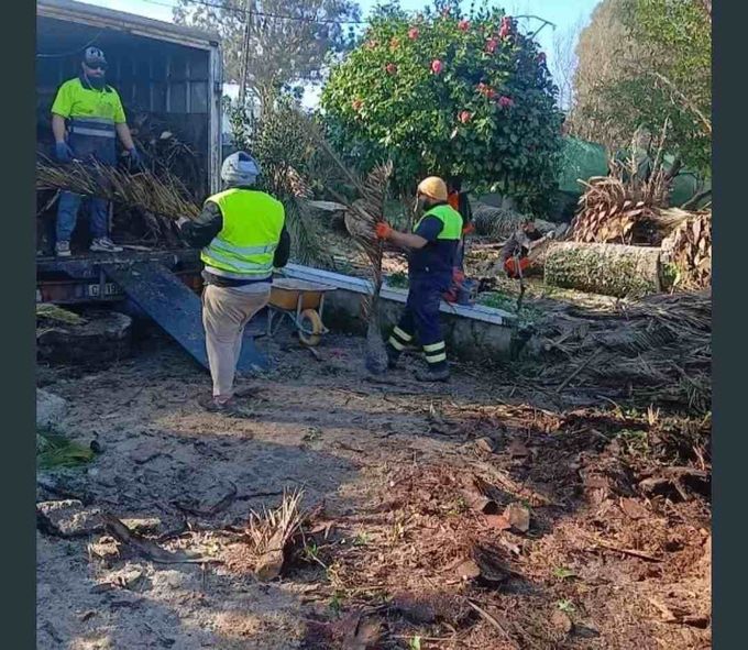 Trabajadores con chalecos fluorescentes retiran escombros de la tormenta junto a un camión en un patio embarrado