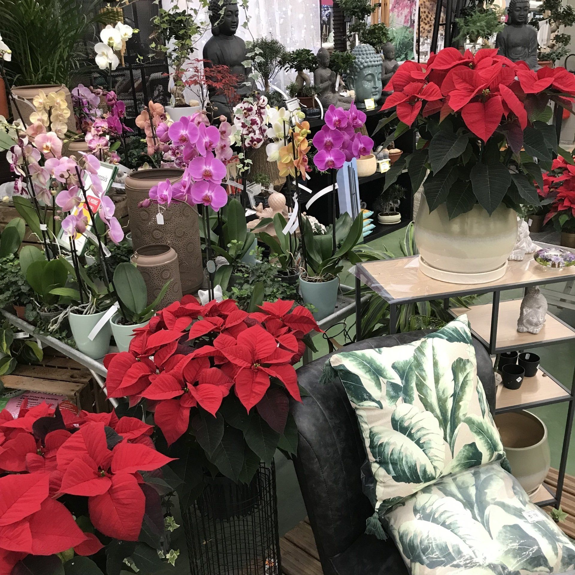 compositions florales