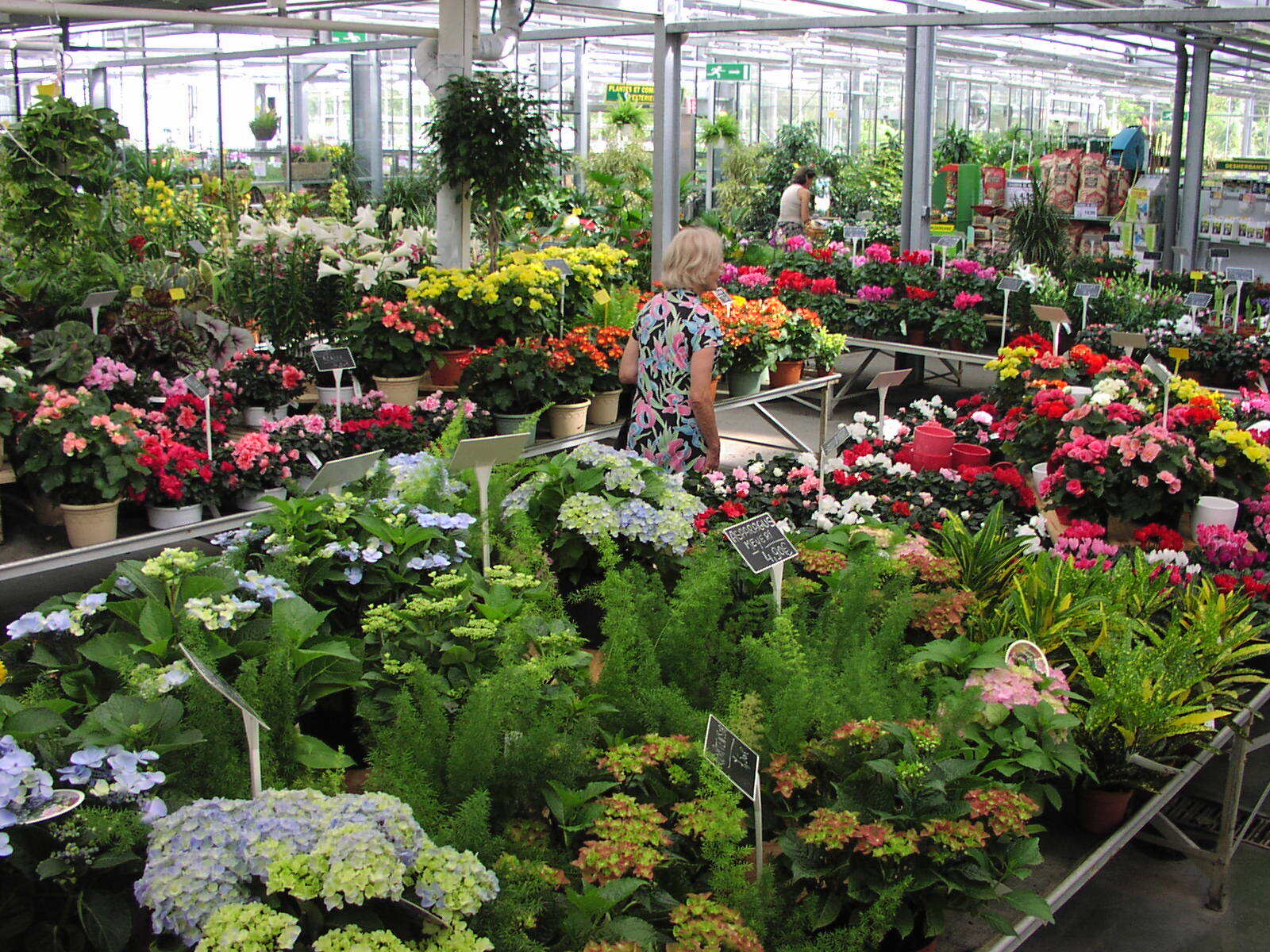 plantes et fleurs d'extérieur