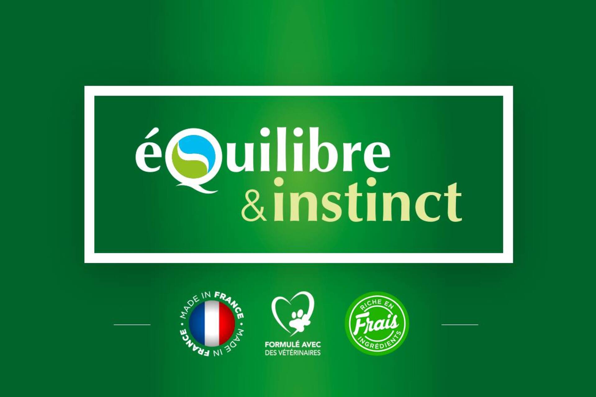 Logo équilibre et instinct