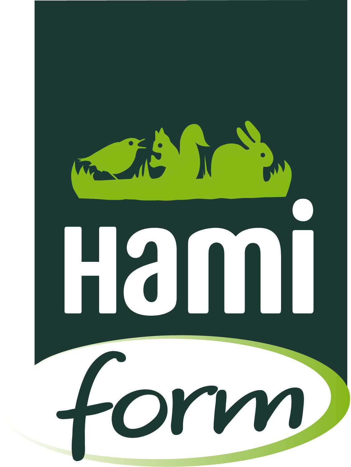 Logo Hami form
