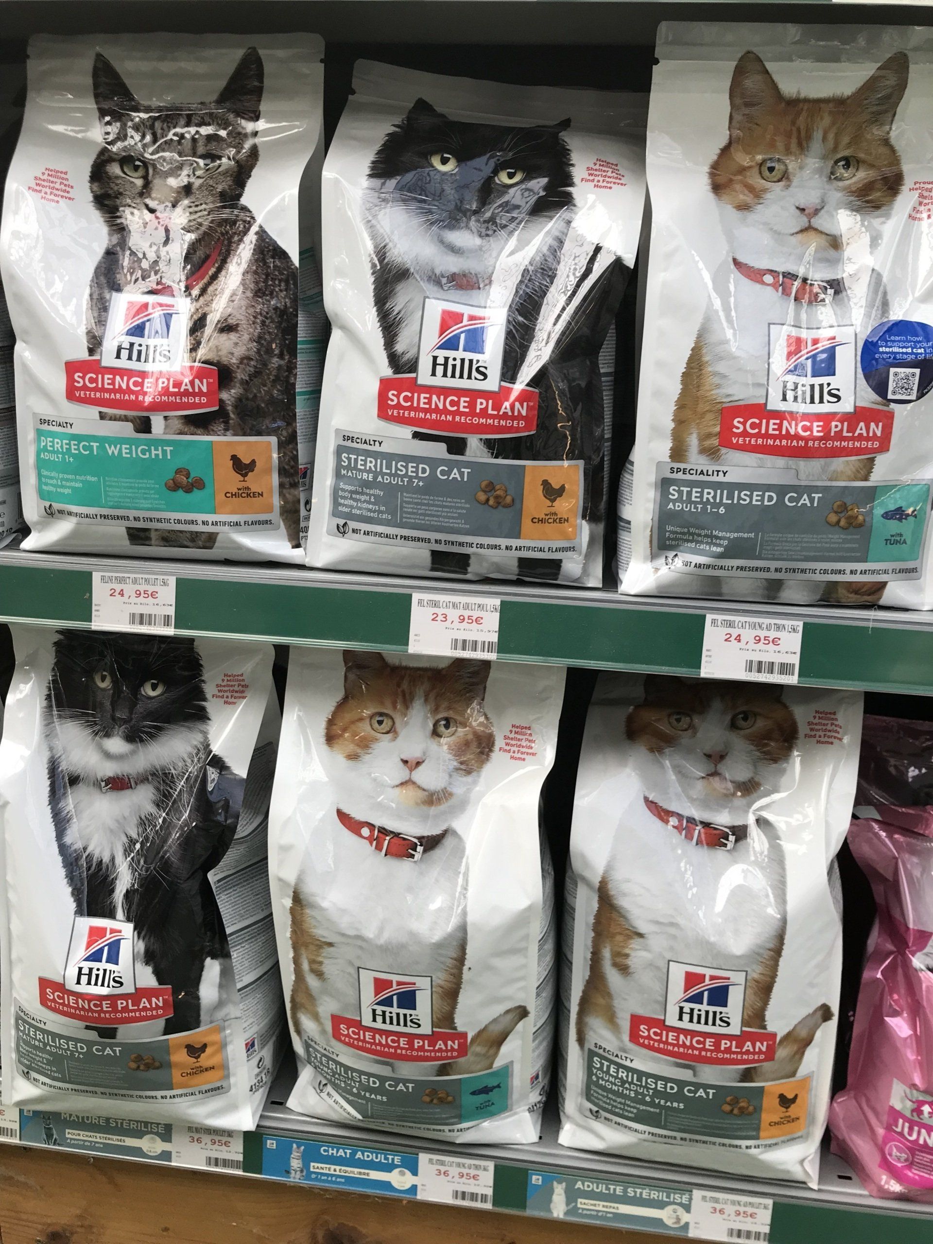 Croquettes pour chat