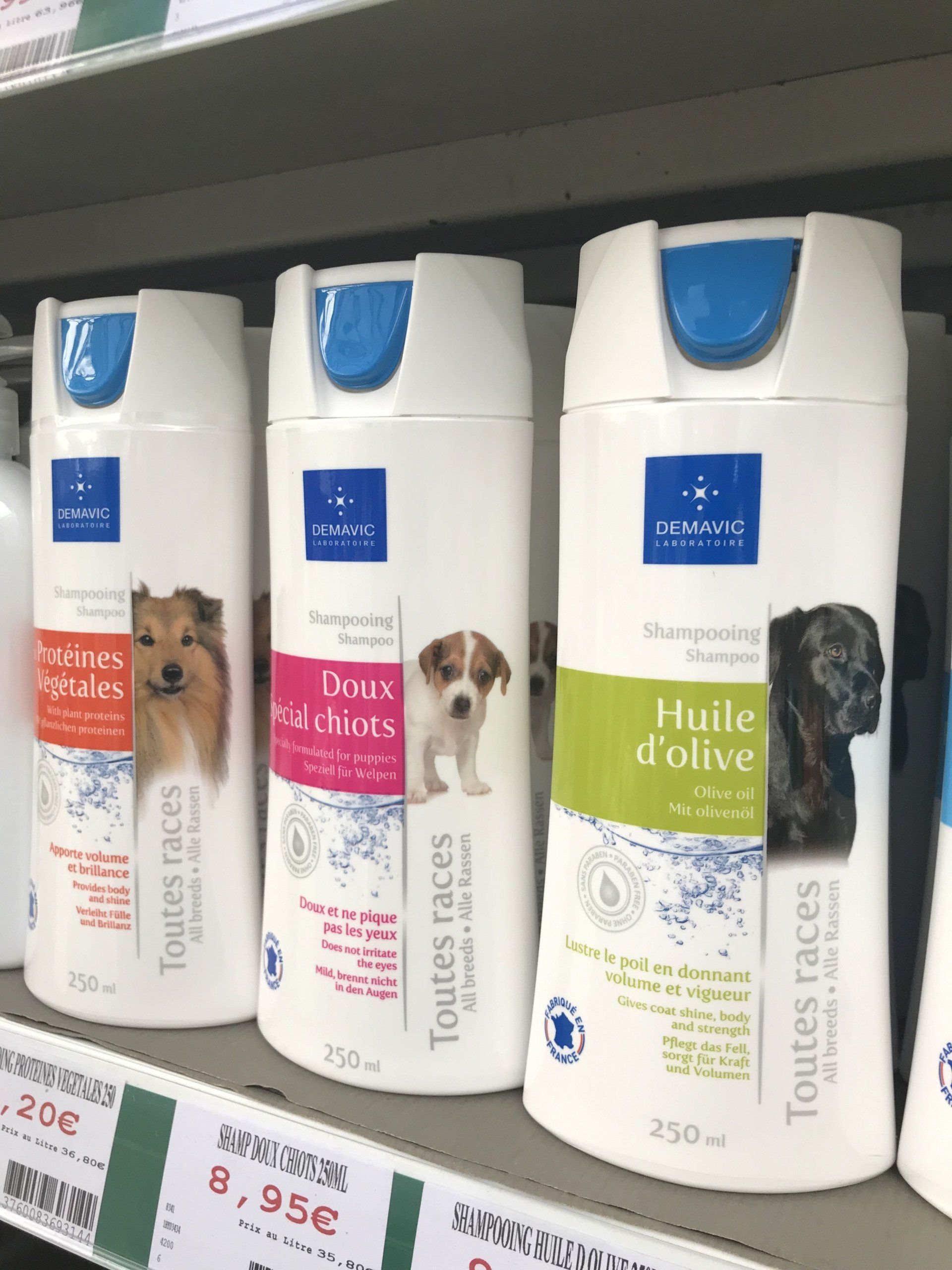 Shampoing pour chiens