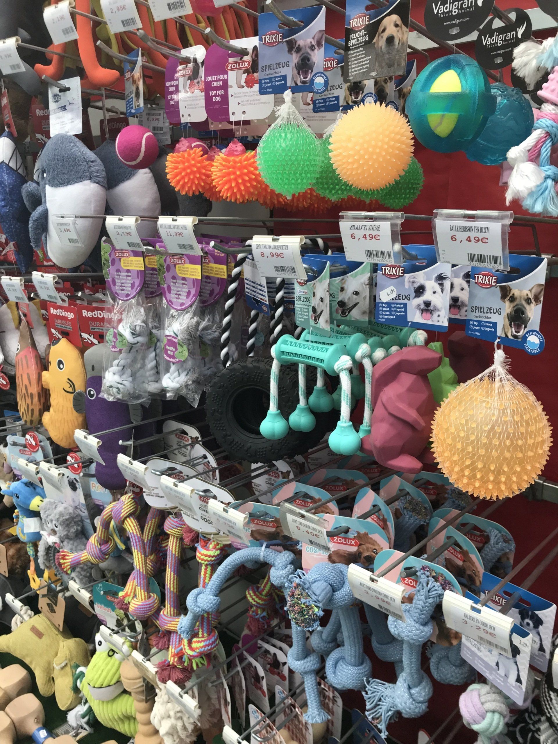 Jeux pour animal de compagnie