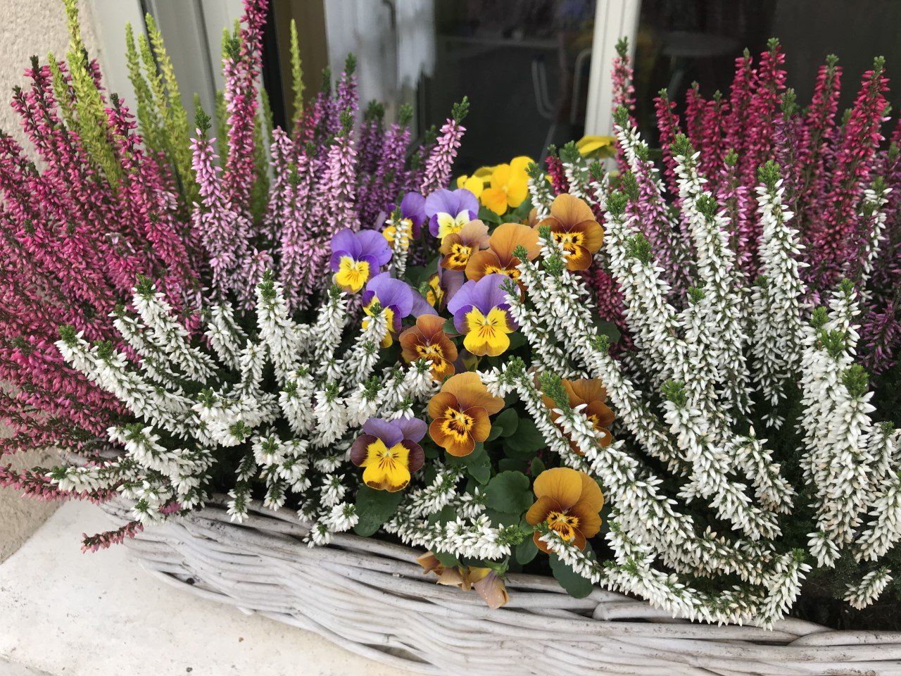 composition florale d'extérieur