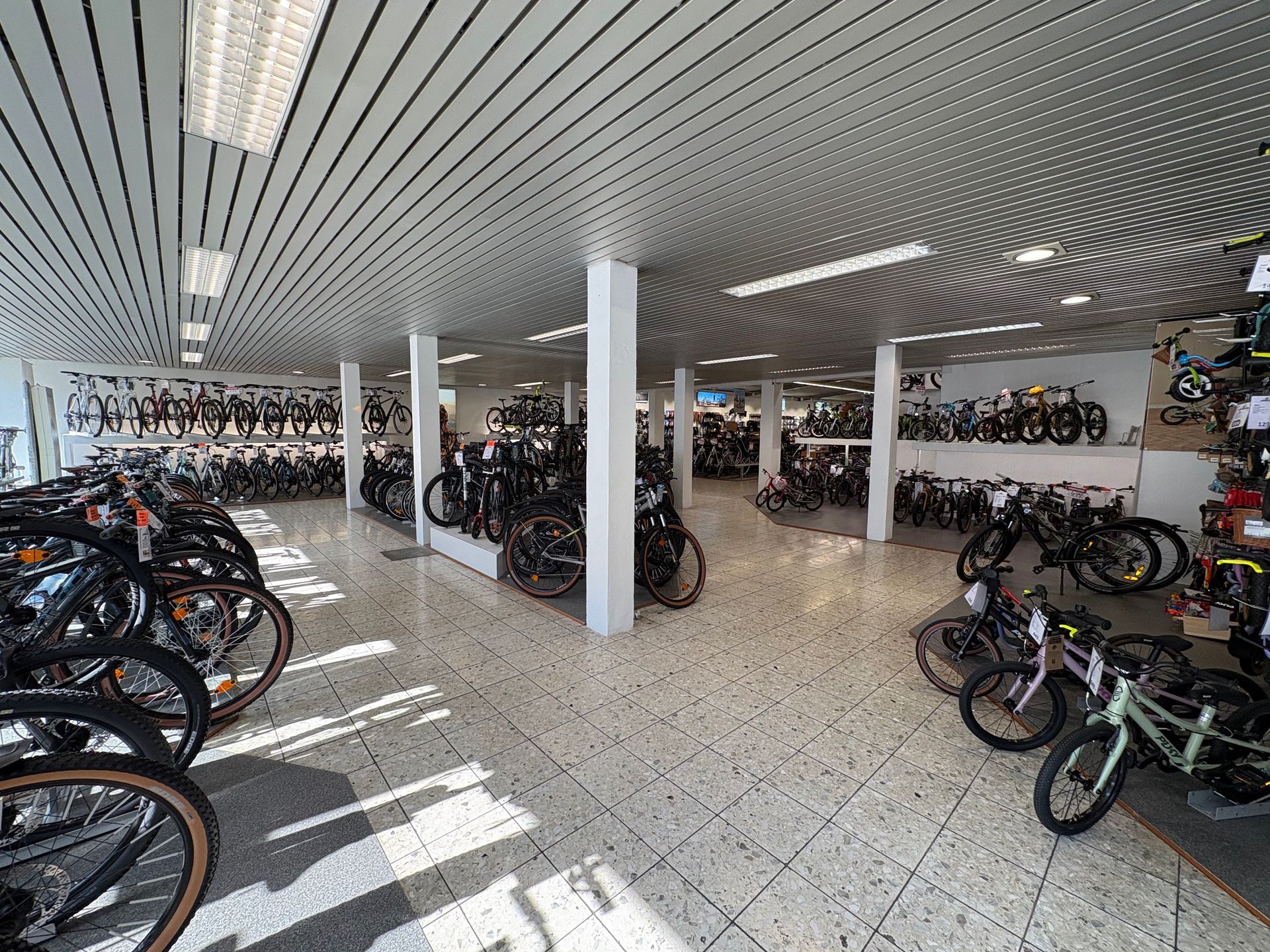 Innenraum eines Fahrradladens mit Reihen von ausgestellten Fahrrädern. Weiße Decke, gefliester Boden und helle Beleuchtung.