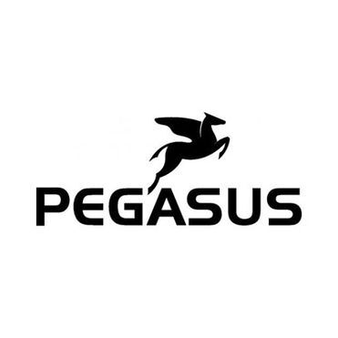 Pegasus Fahrraeder