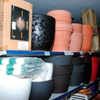 Una caja con un pájaro encima reposa sobre un estante lleno de macetas.