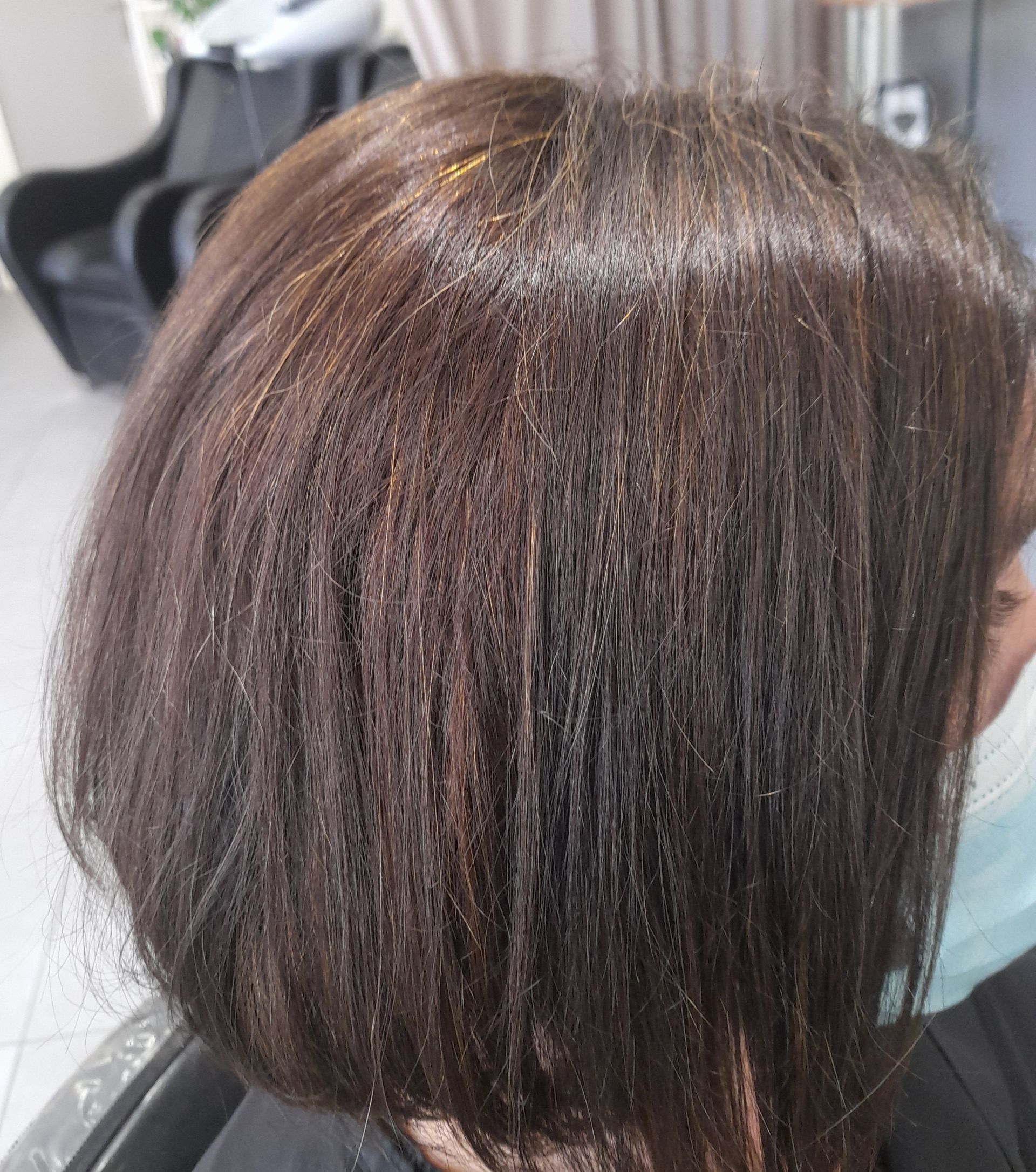 Coupe courte brune