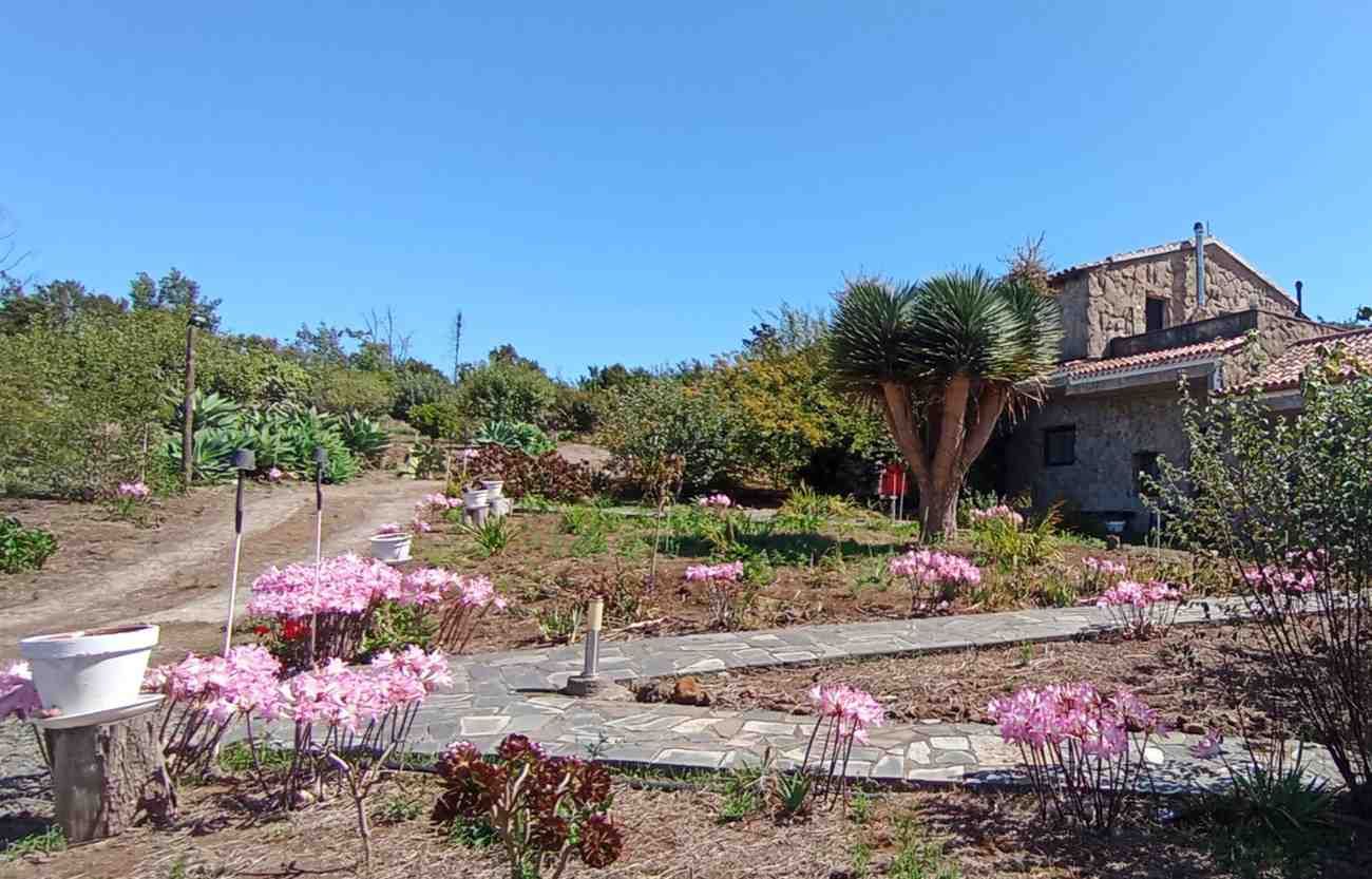 Un jardín con flores rosas, árboles y una casa de piedra bajo un cielo azul claro.