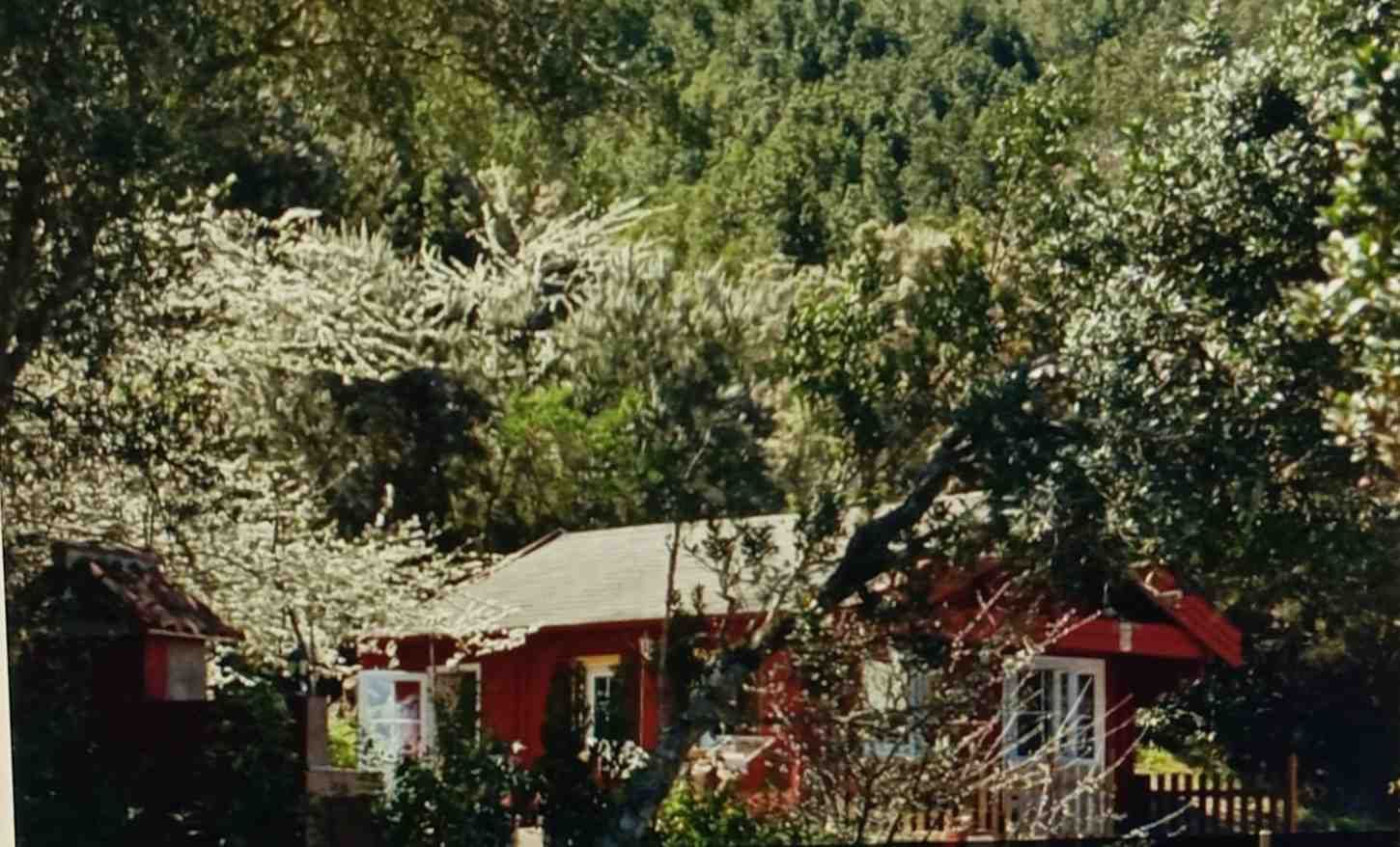 Casa roja con detalles blancos ubicada entre árboles en flor y follaje verde.