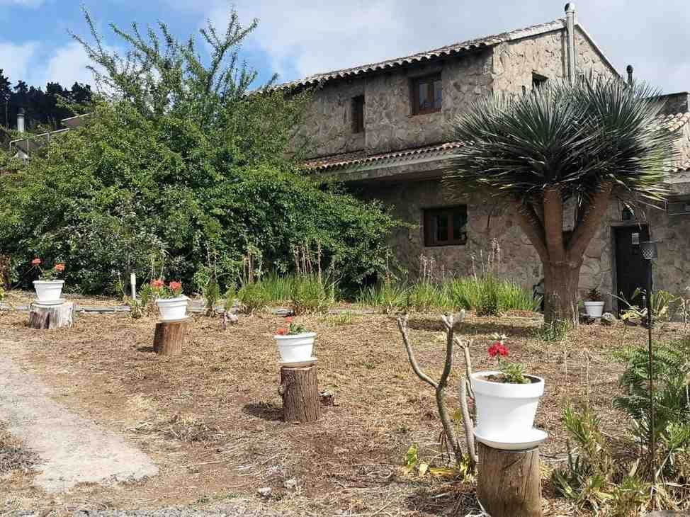 Casa de piedra con jardín, macetas blancas sobre tocones, árboles verdes y cielo azul.