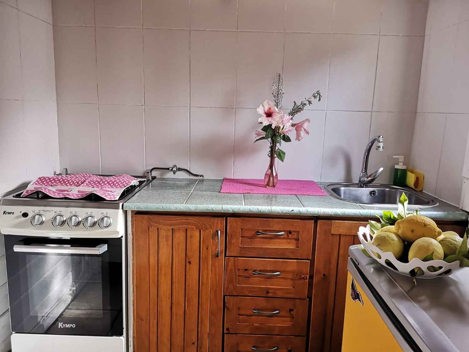 Cocina con estufa, gabinetes de madera, fregadero y un jarrón con flores en la encimera.