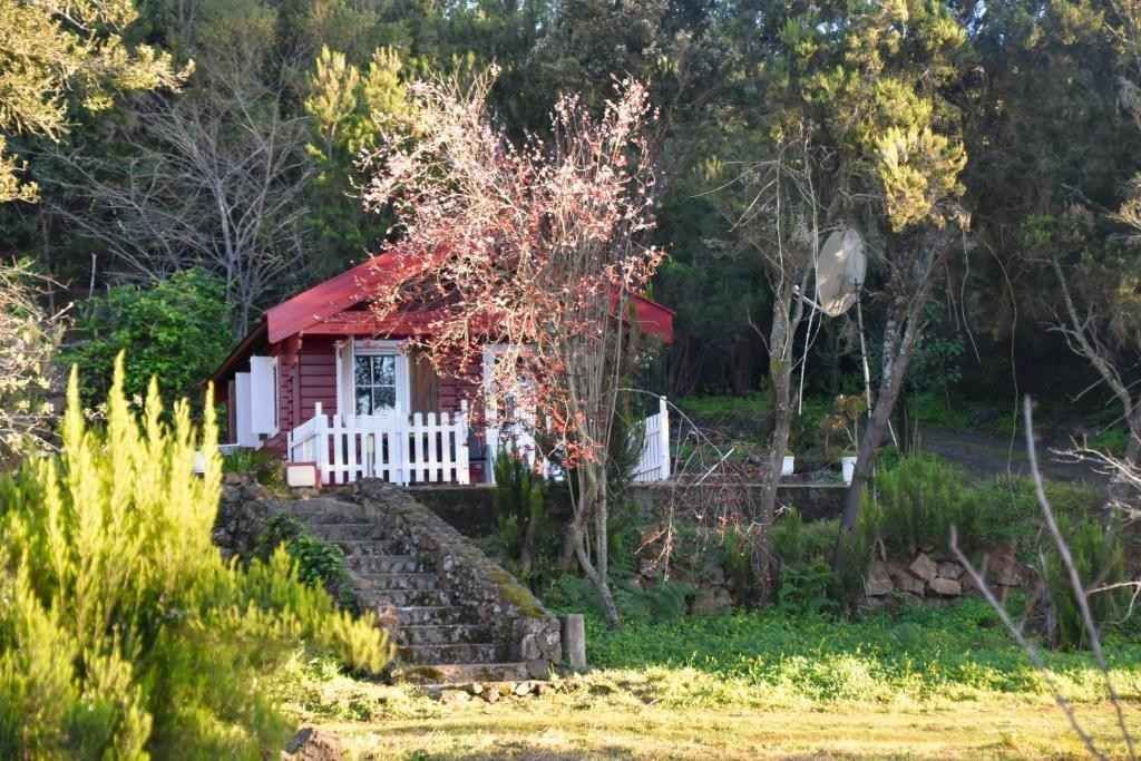 Pequeña cabaña blanca con techo rojo, rodeada de árboles verdes y follaje en un entorno exterior soleado.