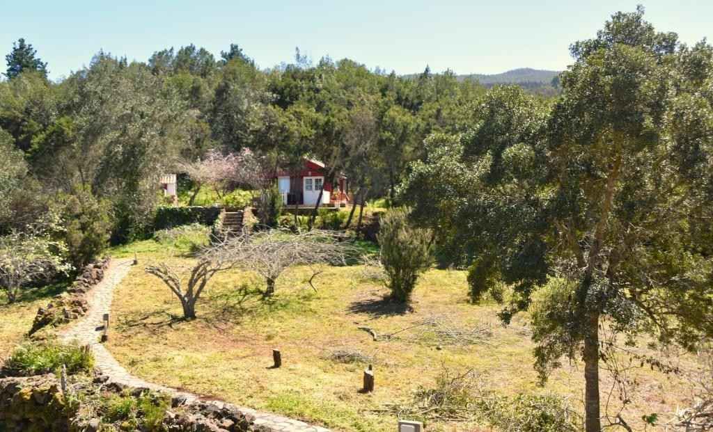 Una pequeña casa con techo rojo ubicada en un paisaje verde y marrón de árboles y un sendero para caminar.