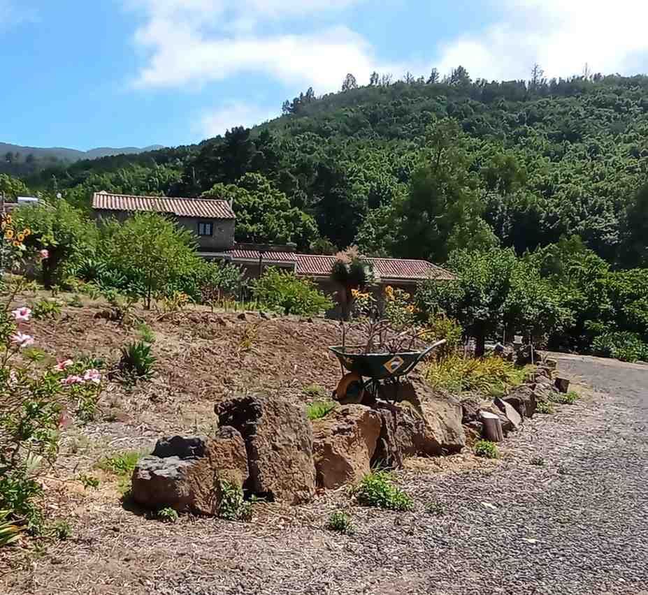 Una casa situada en la ladera de una colina rodeada de exuberante
