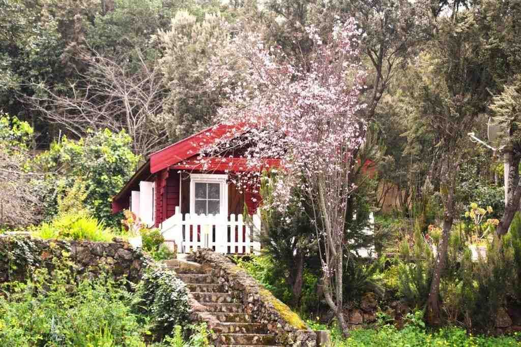 Una pequeña cabaña con techo rojo y detalles blancos se encuentra entre una exuberante vegetación y una escalera de piedra.