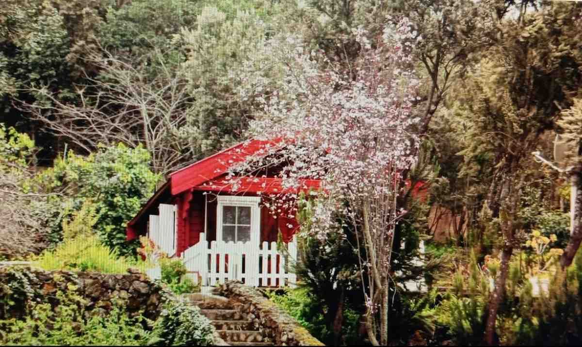 Cabaña con techo rojo y cerca de estacas blancas, ubicada en una exuberante vegetación y con un árbol en flor.