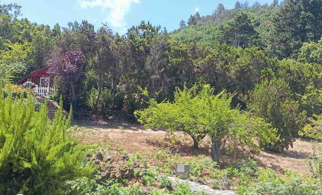 Una exuberante ladera verde con un pequeño edificio parcialmente visible. Árboles de colores variados y cielo soleado.