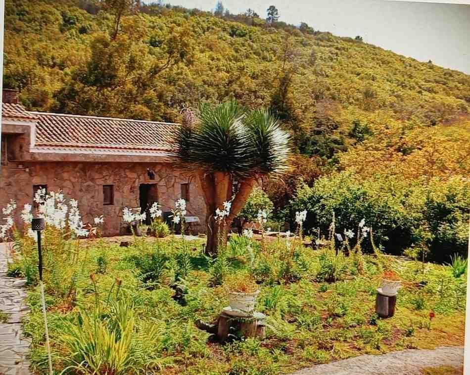 Edificio de piedra con tejado de tejas rodeado de jardín, árboles y una ladera al fondo.