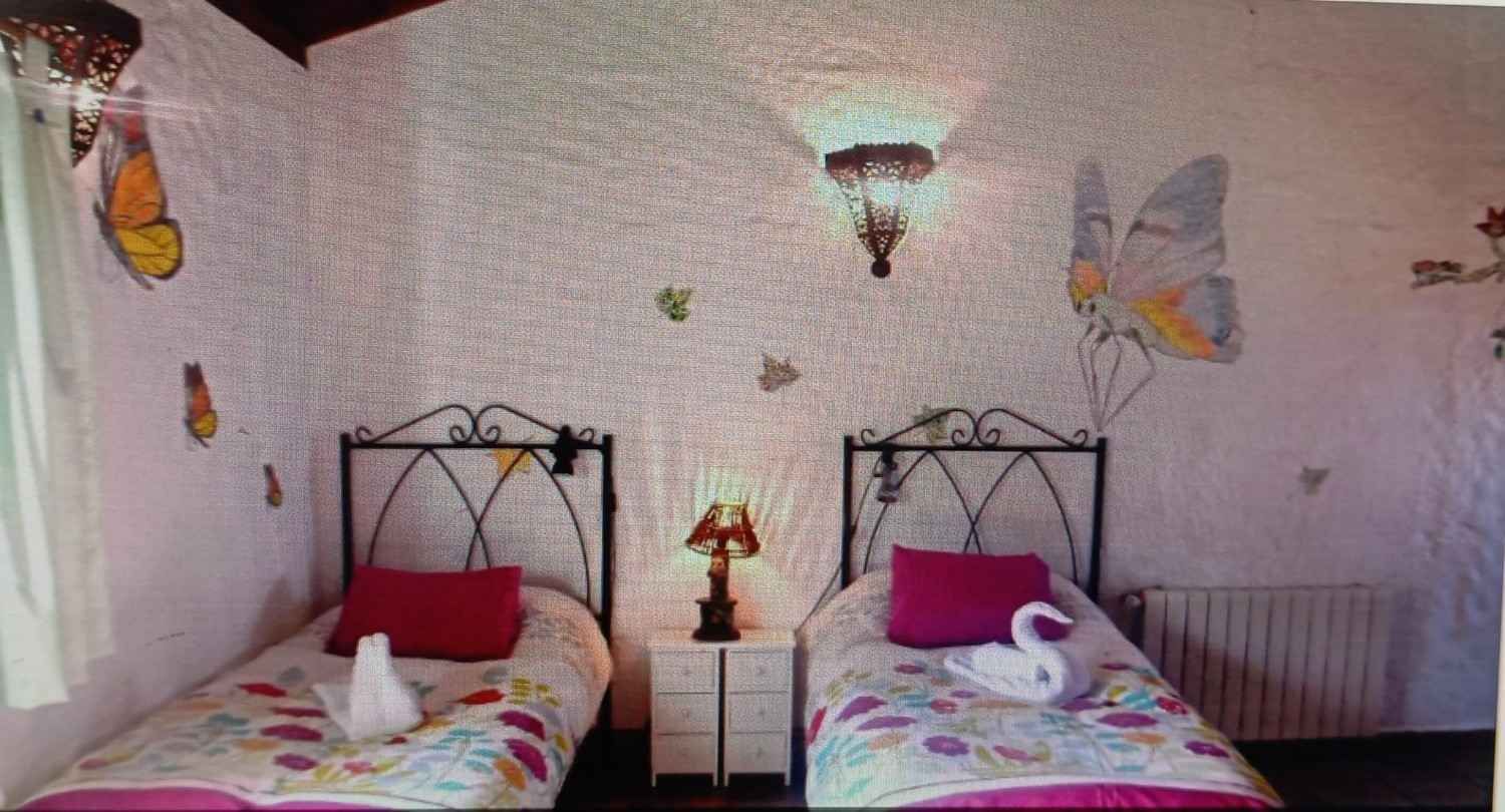 Dos camas individuales en una habitación con calcomanías de mariposas en la pared, una lámpara y una lámpara decorativa.