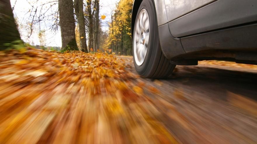 Ein Auto fährt eine mit Blättern bedeckte Straße entlang.