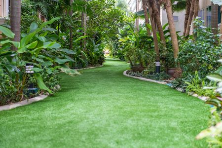 Un camino rodeado de árboles y arbustos en un exuberante jardín verde.