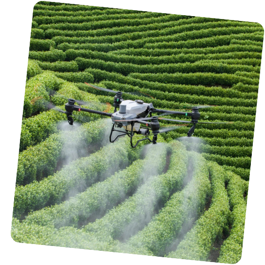 Une photo d'une fenêtre avec une étoile dessus