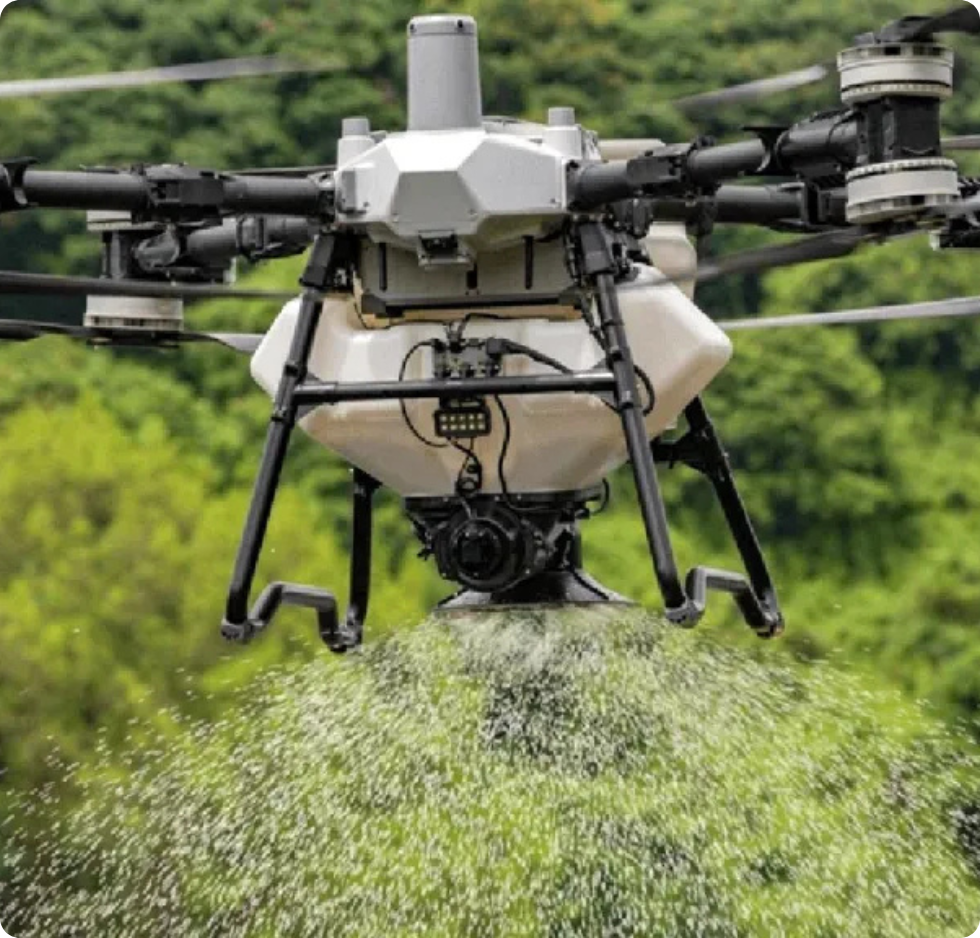 Un salon avec un canapé et une brouette en arrière-plan.