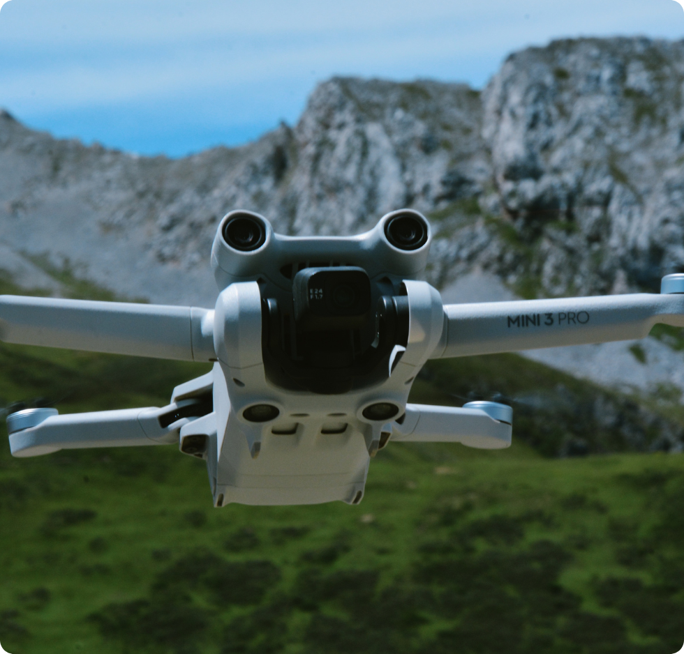 Un salon avec un canapé et une brouette en arrière-plan.