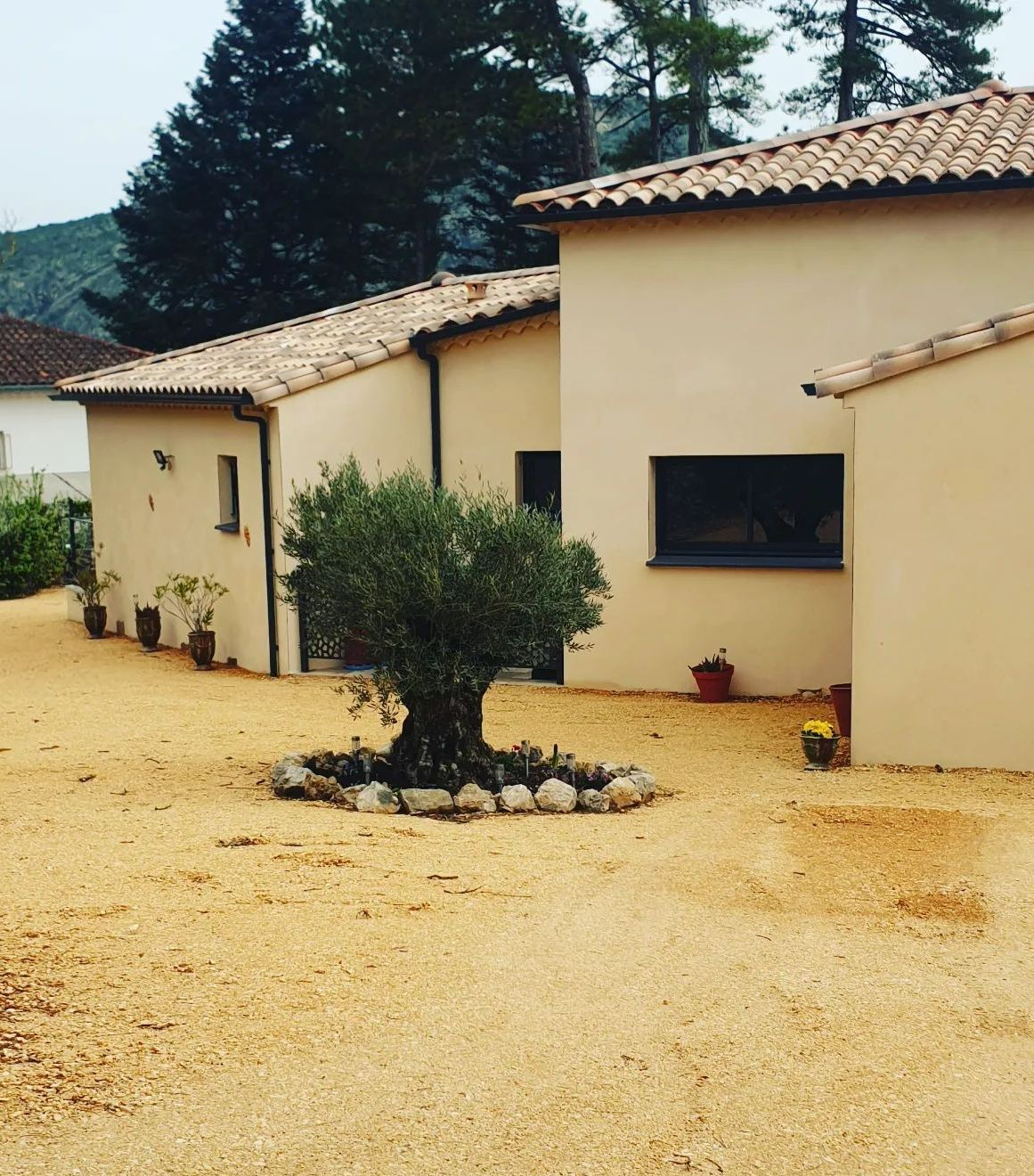 Une maison neuve avec un arbre planté dans la cour