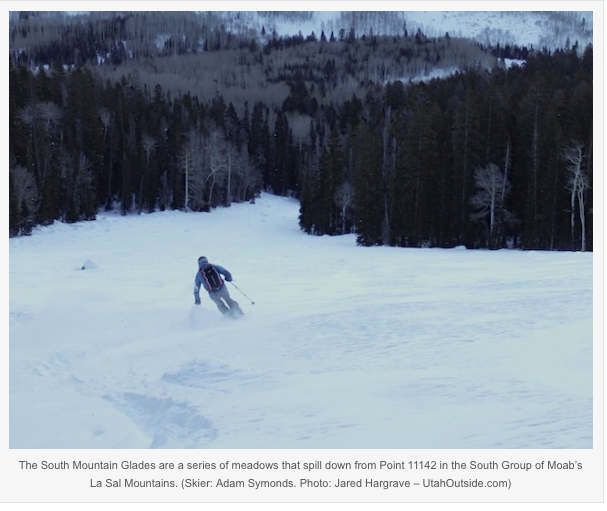 Skier carving down a snowy slope beside dark pine forest under a cloudy sky