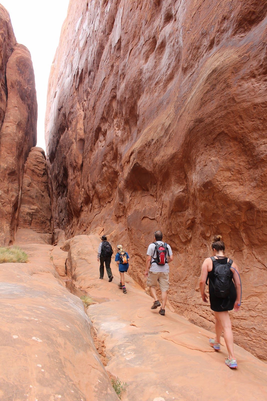 Hikers walking through a narrow red sandstone canyon trail with towering rock walls