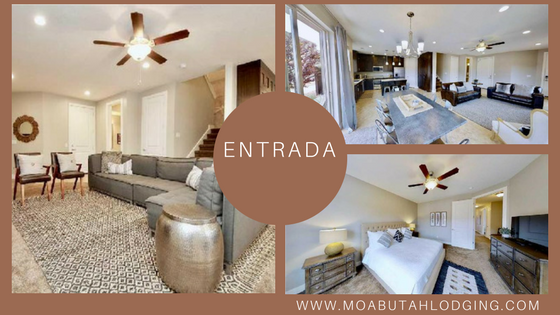 Collage of a bright modern home entry and living spaces with beige and gray decor