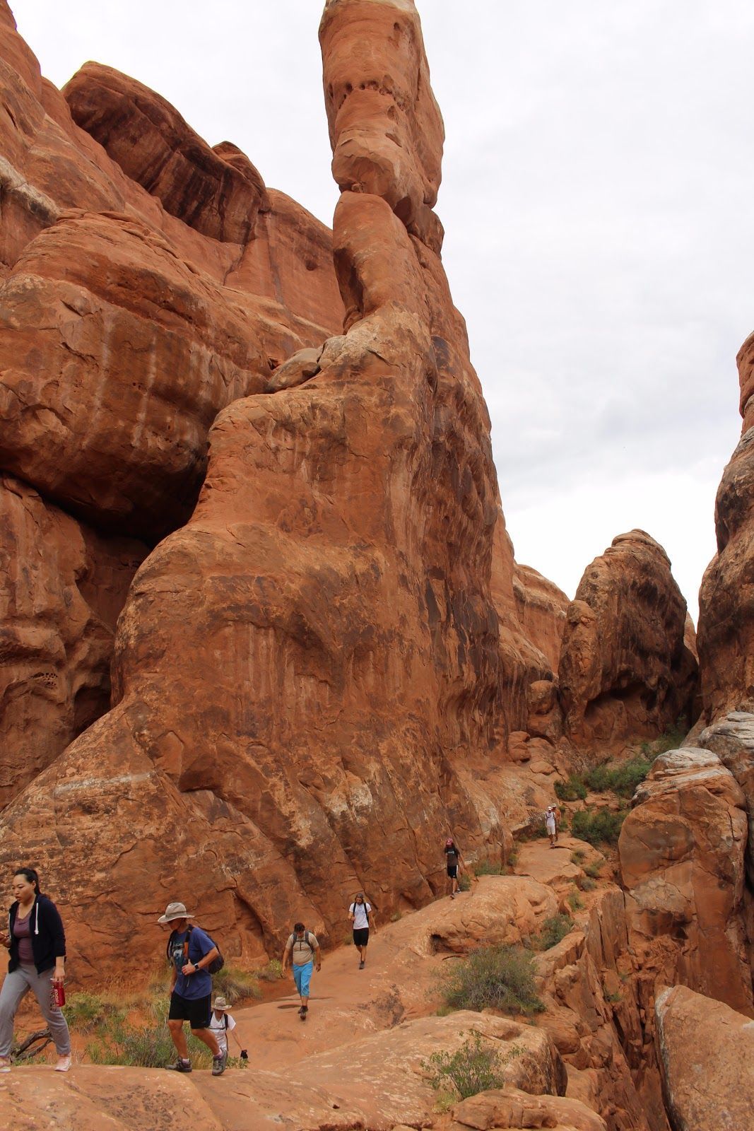 Hikers on a trail among towering red sandstone cliffs and rock spires in a desert canyon