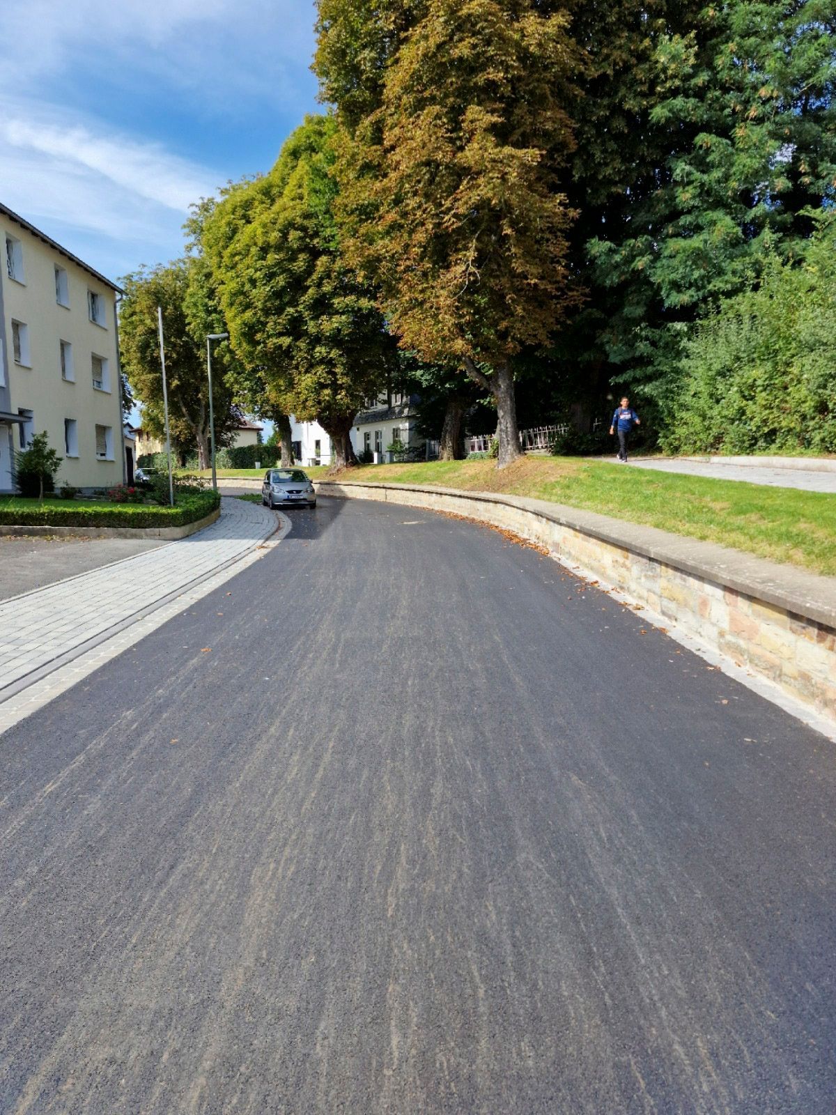Ein Auto fährt eine Straße entlang, die auf beiden Seiten von Bäumen umgeben ist.