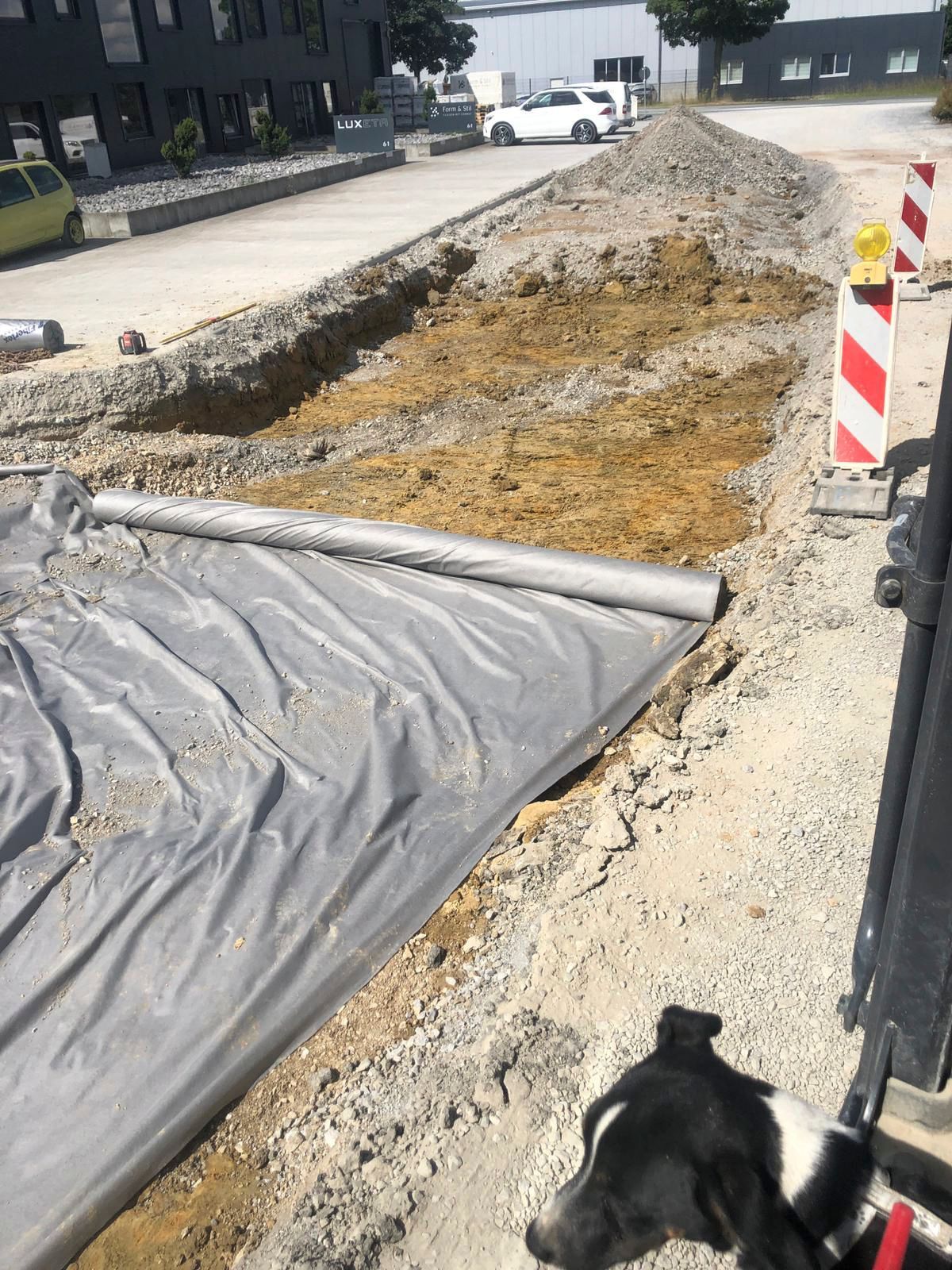 Ein schwarz-weißer Hund schaut sich eine Baustelle an.