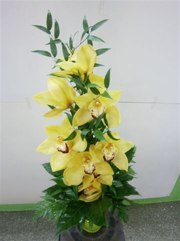 Tmi Kukkakauppa Kirsikankukka