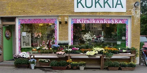 Tmi Kukkakauppa Kirsikankukka