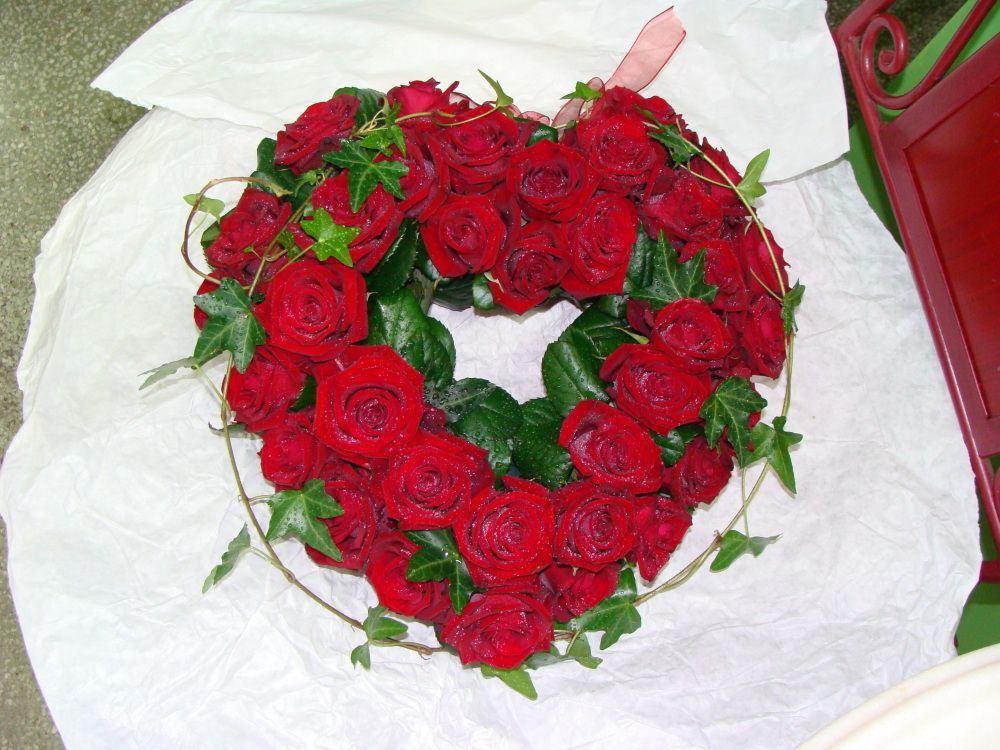 Tmi Kukkakauppa Kirsikankukka