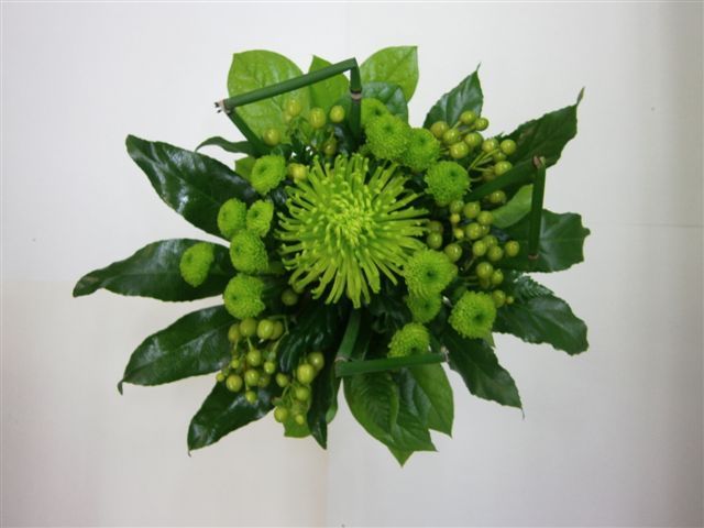 Tmi Kukkakauppa Kirsikankukka